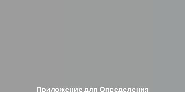 Приложение для Определения Эмоционального Состояния Домашних Животных с Помощью Нейросети