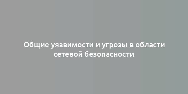 Общие уязвимости и угрозы в области сетевой безопасности