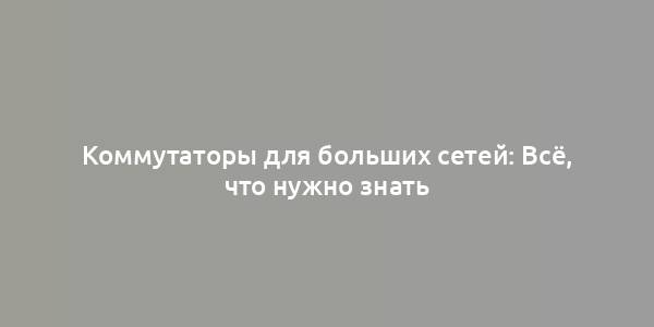 Коммутаторы для больших сетей: Всё, что нужно знать