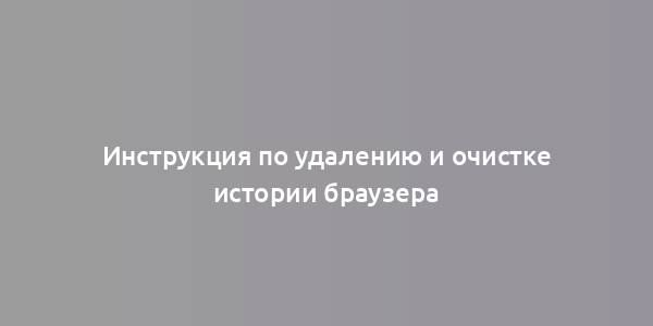 Инструкция по удалению и очистке истории браузера