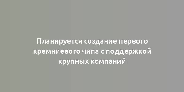 Планируется создание первого кремниевого чипа с поддержкой крупных компаний