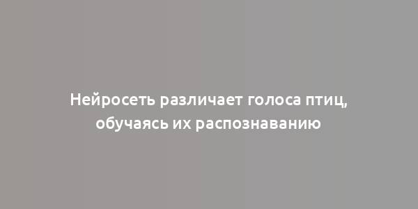 Нейросеть различает голоса птиц, обучаясь их распознаванию