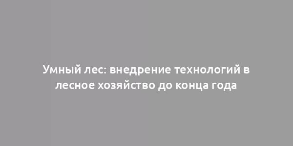 Умный лес: внедрение технологий в лесное хозяйство до конца года