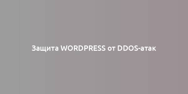 Защита WordPress от DDoS-атак