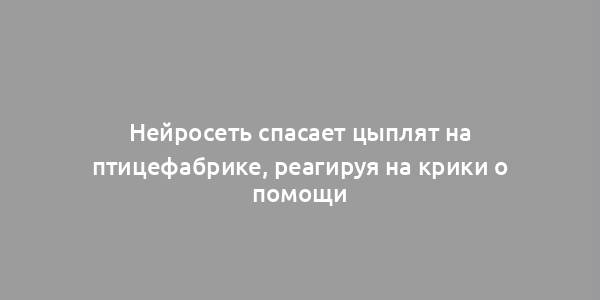 Нейросеть спасает цыплят на птицефабрике, реагируя на крики о помощи