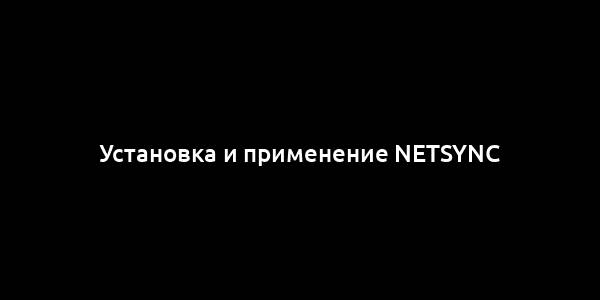 Установка и применение NetSync